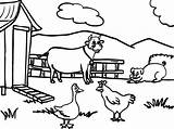 Barn Animal Coloring Pages sketch template