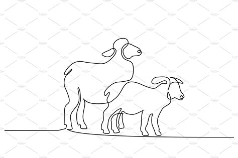 Continuous line drawing Sheeps