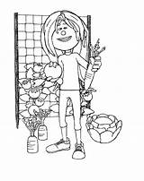 Desenho de Horta Pequena Para Colorir  Tudodesenhos sketch template