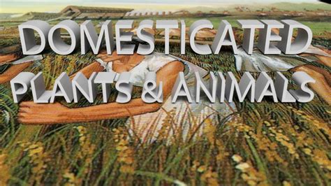 HIST 1121 Lesson 9 - Domesticated Plants & Animals - YouTube