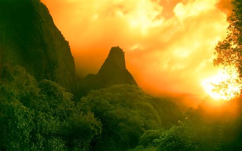 Rainforest sunset wallpaper | 1920x1200 | #31538