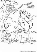 Disney Bunnies Coloring Pages – Warehouse Of Ideas sketch template