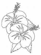 Hawaiian Flower Coloring Pages sketch template