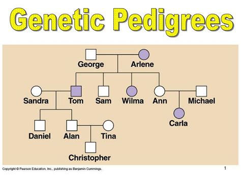 PPT - Genetic Pedigrees PowerPoint Presentation, free download - ID:6747210