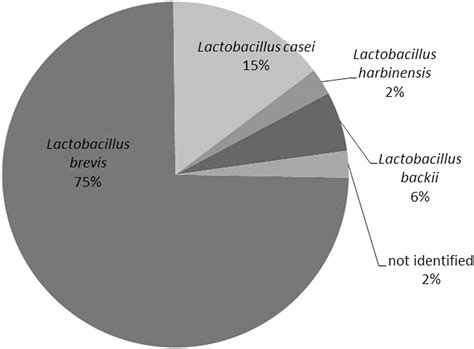 Lactobacillus Brevis