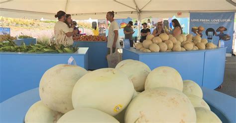 King Soopers host first ever farmer's market - CBS Colorado