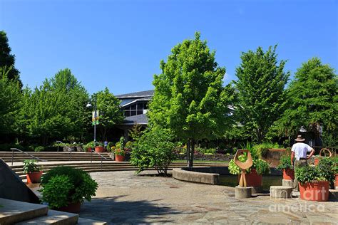 North Carolina Arboretum in Asheville Photograph by Jill Lang - Fine Art America