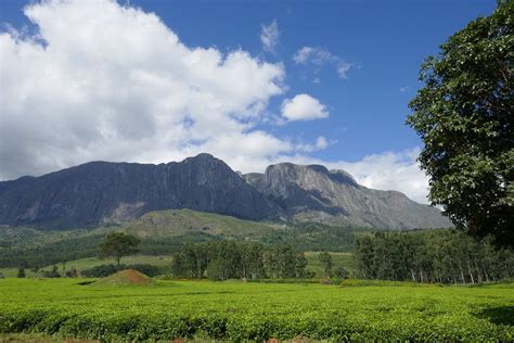 Mount Mulanje - Aktuell für 2022 - Lohnt es sich? (Mit fotos)