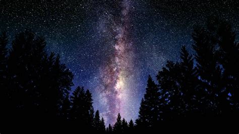 digital Art, Space, Forest, Forest Clearing, Stars Wallpapers HD / Desktop and Mobile Backgrounds