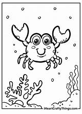 Marine Animal Coloring Pages Sketch Page sketch template