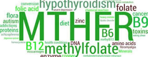 Methylation & Detoxification – WholeFoods Plantbased Group