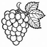 grapes coloring pages 54077415 Vector Art At Vecteezy sketch template