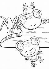 Frog Amphibians Animal Coloring Pages A4 For Kids And Adult Stock  sketch template