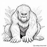 Ape Coloring Pages  Free & Printable sketch template