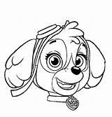 Skye Face Coloring Page  Free Printable Pages For Kids sketch template