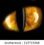 Cat's Eye Free Stock Photo - Public Domain Pictures