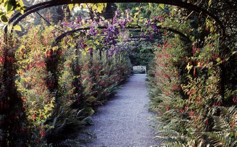 Penrhyn Castle Garden