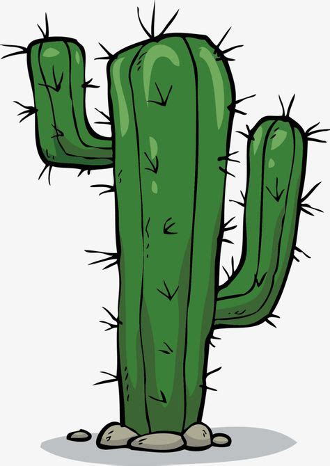 23 idées de Cactus fm en 2021 | dessin cactus, peinture de cactus, fond d'écran téléphone