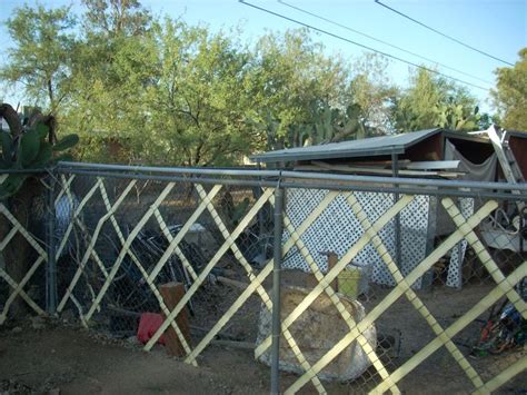 Day 34: Coyote Proof Fence | Outdoor pet enclosure, Coyote rollers, Coyote