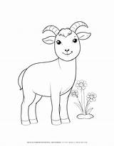 Boost Kids Creativity With Our Simple Coloring Page  Cute Goat sketch template