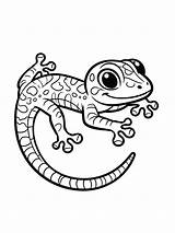 Gecko coloring Pages sketch template