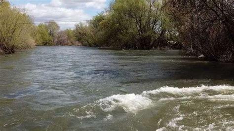 Boise River flows to near "bankfull" today