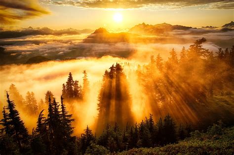 landscape, Sun Rays, Forest, Mountain, Clouds Wallpapers HD / Desktop and Mobile Backgrounds