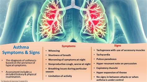 What is the pathophysiology of asthma