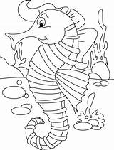Seahorse Printable Coloring Pages sketch template