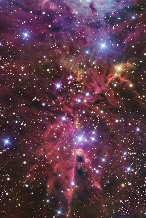 NGC 2264- the Cone Nebula- detail