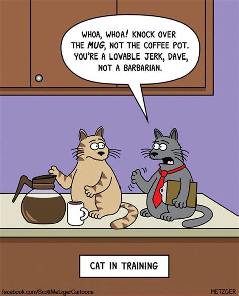 Cat Funny Cartoon