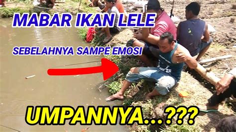 mancing ikan lele @londoarap3967 - YouTube