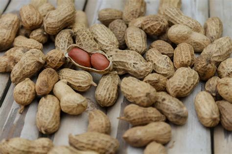 Peanut Market Report January 2020 | Cornhouse