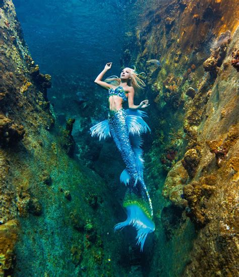 A Real-Life Mermaid Who Swims With Sharks Using Her Fish Tail And Holds ...