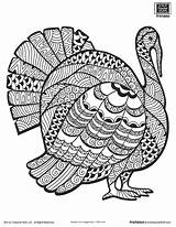 Turkey Coloring Pages For Adults sketch template