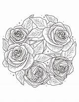 Detailed Rose Coloring Pages At Getrachelblog Blog sketch template