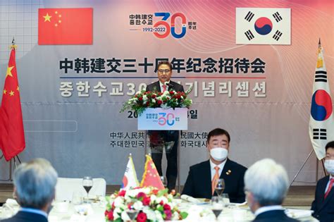 OPINION - Challenges and opportunities in China’s relations with South ...