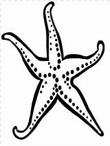 Starfish Coloring Page & coloring Book Print And color This sketch template