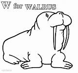 Printable Walrus Coloring Pages For Kids sketch template