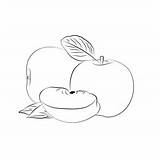 Green Red Apples Coloring Pages For Kids  Download sketch template