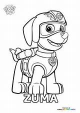 Zuma  Coloring Pages For Kids sketch template