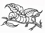 Free Printable Caterpillar Coloring Pages For Kids sketch template