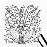 Botanical Lily Of The valley coloring Page Download Or Print For Free sketch template
