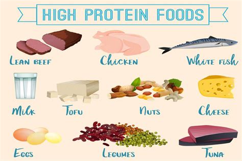 What is High Protein Foods? – Definition,15 Types of High Protein