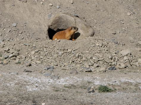 Gallery | Tajikistan Travel Guide