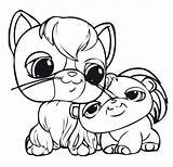Pet Store Coloring Page Pages sketch template