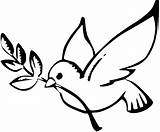 Printable Pictures Of White Doves  Bing Images Dove Drawing sketch template