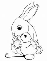 Free rabbit & bunny coloring Page To color  Rabbit Bunny Coloring sketch template