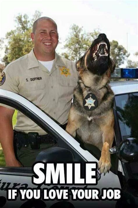 K-9 Police Memes, Police Dogs, Dog Memes, Military Working Dogs, Military Dogs, K9 Dogs, Rescue ...