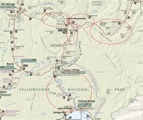 Finding and Photographing Yellowstone Wildlife